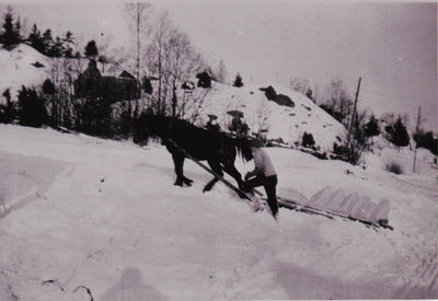 Iskjøring
Iskjøring fra Øyeren, Degrum. 1930-årene
Nøkkelord: iskjøring;mann;hest;degrum