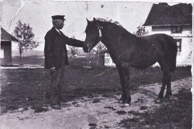 Hestebilde fra Krogsbøl
Hest og mann på Krogsbøl
Keywords: hest;mann;krogsbøl