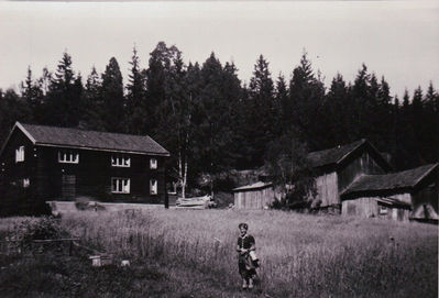 Gårdsbruk  Nylende 1950
Nylende Ytre Enebakk
Keywords: gårdsbruk;nylende;ytre;enebakk;1950;dame;kvinne
