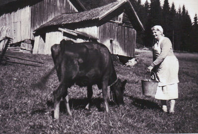 Jordbruk, Nylende
Jordbruk Nylende, Ytre Enebakk; ku og kvinne, Marie Henriksen
Nøkkelord: jordbruk;selvbinder;husmann;plass;nylende;ytre;marie;henriksen